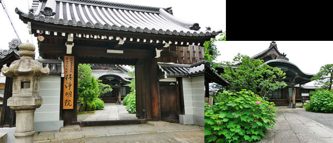 京都東山区得浄明院:徳禅寺(大徳寺)