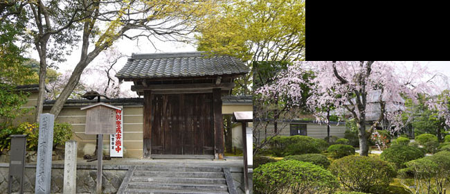 京都北区霊源寺:霊源皇寺