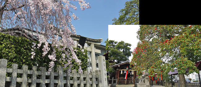 京都北区金攫八幡宮