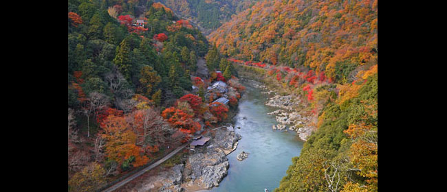 京都西京区大悲閣千光寺:大悲閣