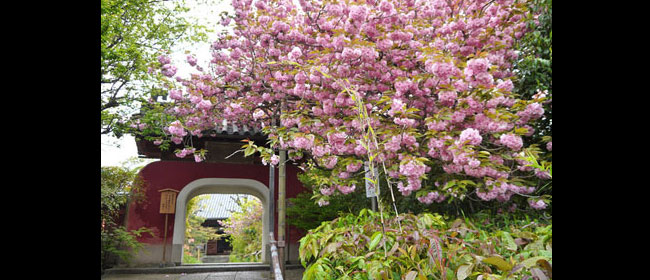 京都伏見区石峰寺